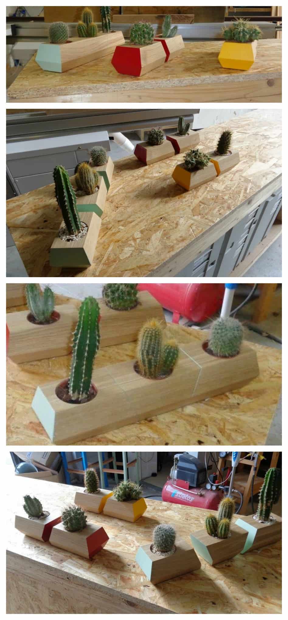 cactus vasetti fai fa te in legno di pallet moderni e di design composizione colorata piantine