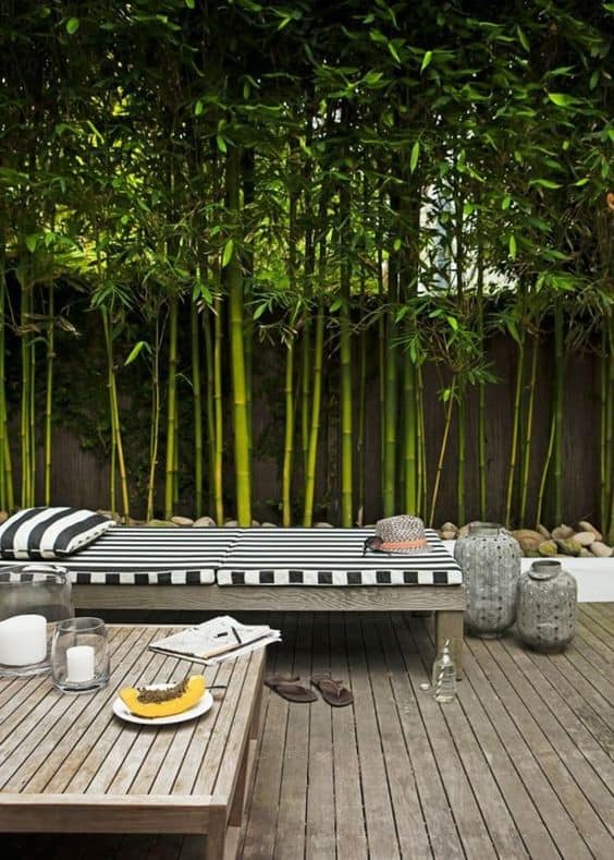 siepe di bamboo per terrazzo