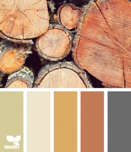 colori caldi ispirazione legno per bagno